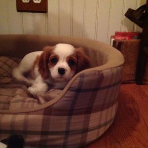 Meet your Posher, Marnie